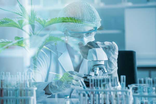 advanced-innovation-2023-cannabis-trends